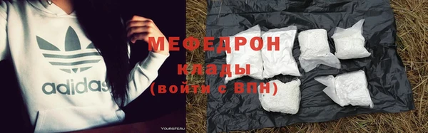 прущие грибы Аркадак