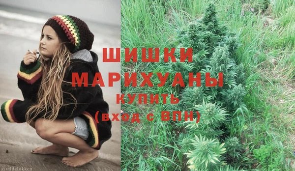 прущие грибы Аркадак