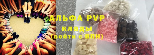 прущие грибы Аркадак
