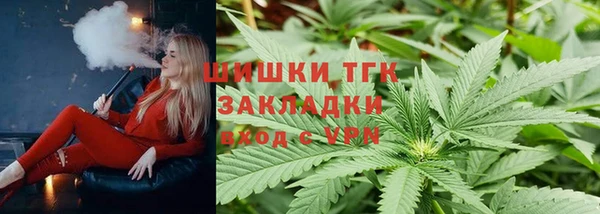 прущие грибы Аркадак