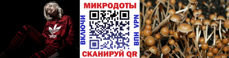 Галлюциногенные грибы мухоморы  Майкоп 